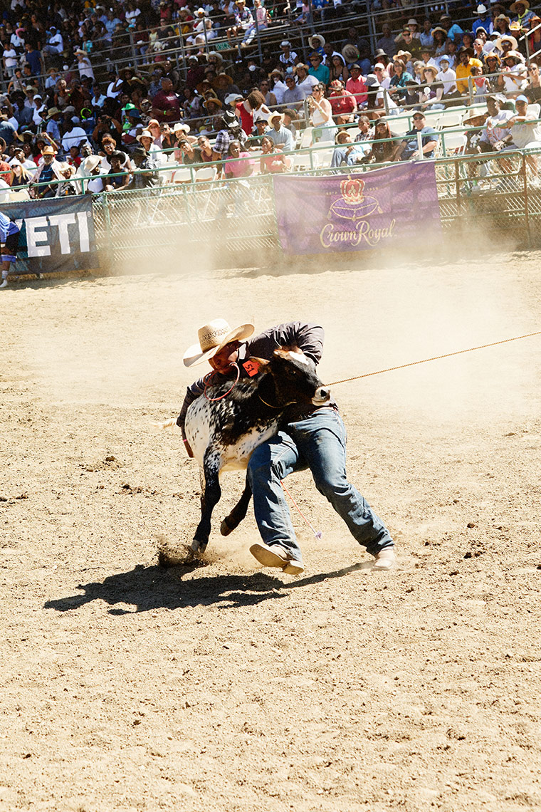 BLACK RODEO